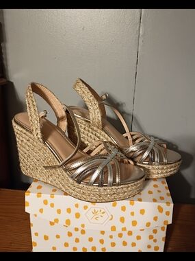SZ 10 Metallic Silver Wedge Espadrilles BNWOT